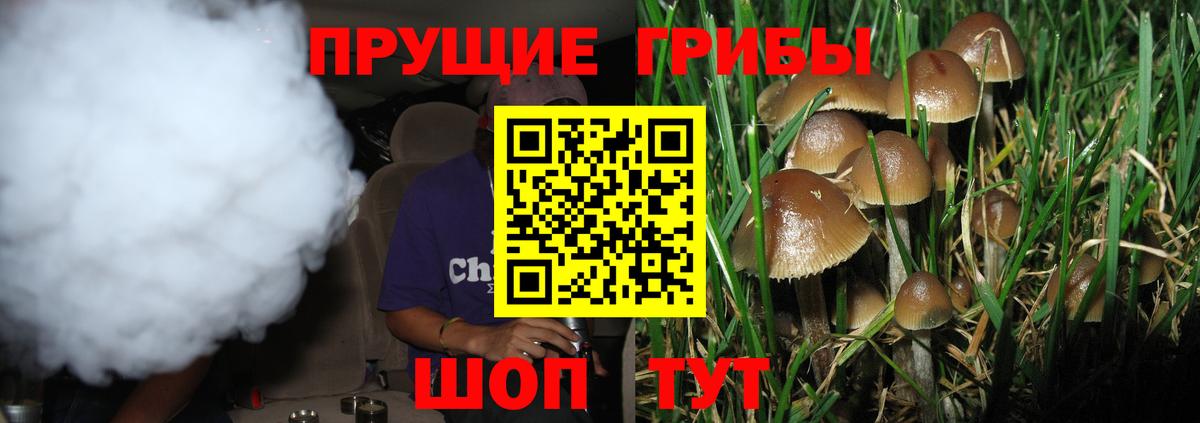 Галлюциногенные грибы мухоморы Котлас